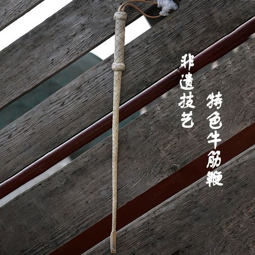 非物质文化遗产鞭子（鞭子是非物质文化遗产吗）-第2张图片-八三百科