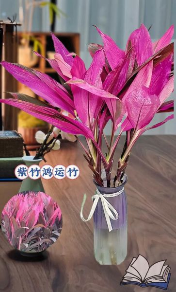 紫竹非物质文化遗产(紫竹非遗新手入门看这里)-第3张图片-八三百科 紫竹非物质文化遗产(紫竹非遗新手入门看这里)-第3张图片-八三百科