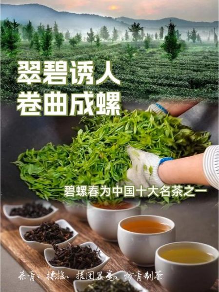 苏州非物质文化遗产名录(苏州非物质文化遗产名录最新全名单)-第1张图片-八三百科 苏州非物质文化遗产名录(苏州非物质文化遗产名录最新全名单)-第1张图片-八三百科