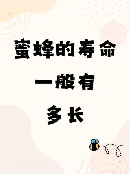 养蜂人非物质文化遗产（养蜂人非物质文化遗产为什么申遗成功）-第2张图片-八三百科
