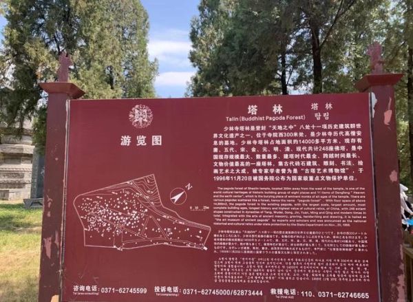 非物质文化遗产林（非遗林的由来与意义你了解吗）-第2张图片-八三百科