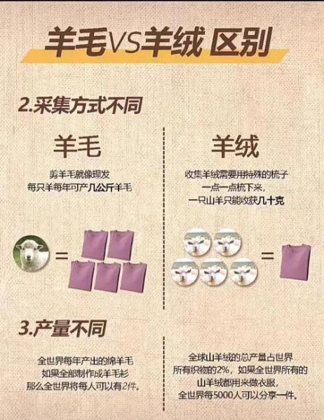 中午非物质文化遗产羊毛(羊毛织造技艺是非遗吗)-第1张图片-八三百科 中午非物质文化遗产羊毛(羊毛织造技艺是非遗吗)-第1张图片-八三百科