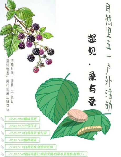 非物质文化遗产桑蚕（桑蚕技艺如何申报非物质文化遗产）-第3张图片-八三百科