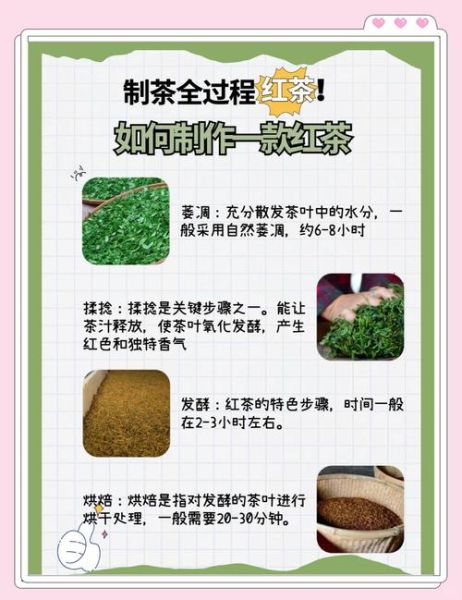 红茶非物质文化遗产(红茶制作技艺非遗传承流程)-第2张图片-八三百科 红茶非物质文化遗产(红茶制作技艺非遗传承流程)-第2张图片-八三百科