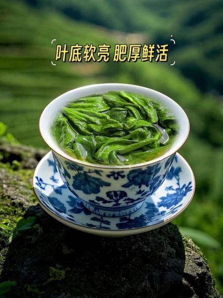 铁观音 非物质文化遗产（铁观音非遗传承人是谁）-第2张图片-八三百科