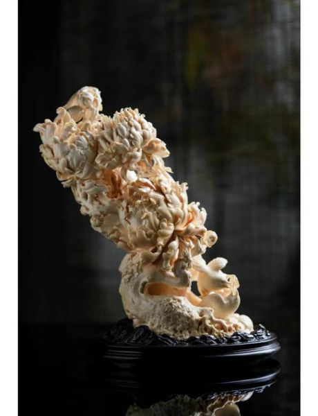 牙雕非物质文化遗产有（牙雕非物质文化遗产有哪些代表性流派）-第1张图片-八三百科