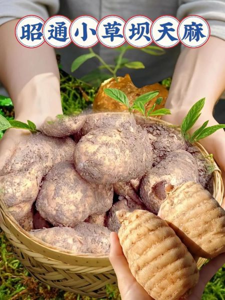 昭通非物质文化遗产对窝(昭通对窝是什么非遗瑰宝)-第1张图片-八三百科 昭通非物质文化遗产对窝(昭通对窝是什么非遗瑰宝)-第1张图片-八三百科