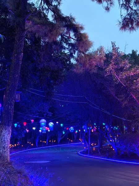 长丰非物质文化遗产园（长丰非物质文化遗产园门票多少钱）-第2张图片-八三百科