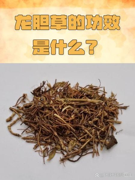 非物质文化遗产龙胆（龙胆中药饮片功效作用全解析）-第3张图片-八三百科