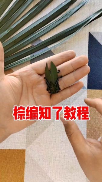 棕衣 非物质文化遗产（棕编非遗技艺入门全流程）-第2张图片-八三百科