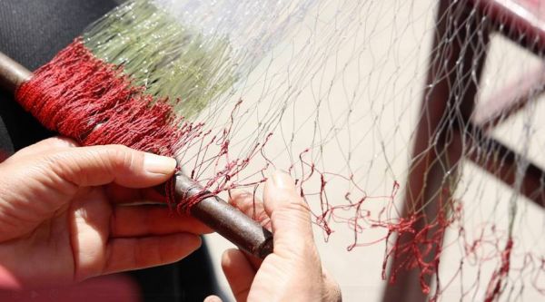 非物质文化遗产网鱼（非物质文化遗产网鱼是什么传统技艺）-第2张图片-八三百科