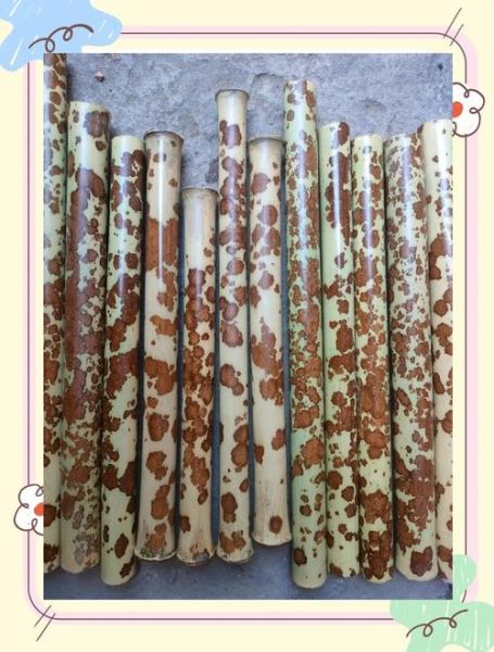 湘妃竹非物质文化遗产（湘妃竹非遗技艺入门指南）-第2张图片-八三百科