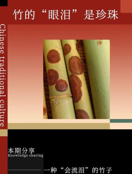 湘妃竹非物质文化遗产（湘妃竹非遗技艺入门指南）-第3张图片-八三百科