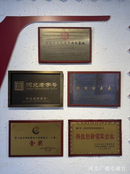 非物质文化遗产老牌(非物质文化遗产老字号的年轻玩法)-第1张图片-八三百科 非物质文化遗产老牌(非物质文化遗产老字号的年轻玩法)-第1张图片-八三百科