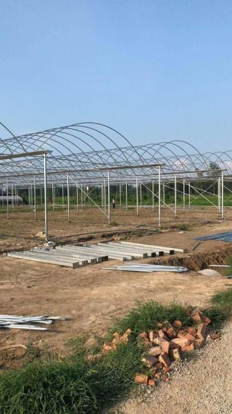 江苏非物质文化遗产大棚（江苏大棚非遗项目有哪些）-第1张图片-八三百科