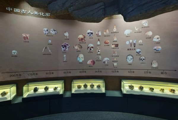 曲靖  非物质文化遗产（曲靖非遗有哪些项目值得一看）-第3张图片-八三百科