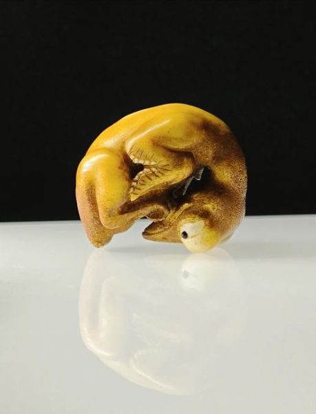 骨非物质文化遗产（骨雕非遗技艺怎么学从哪里入门）-第2张图片-八三百科