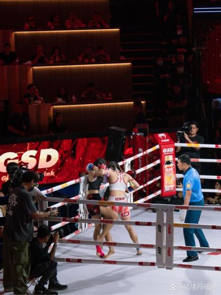 泰拳非物质文化遗产（泰拳非遗传承多久了）-第2张图片-八三百科