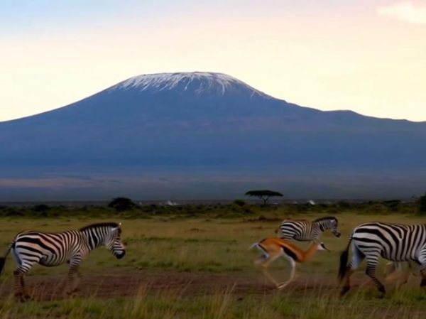 非洲非物质文化遗产视频（非洲非物质文化遗产纪录片教学片合集）-第3张图片-八三百科