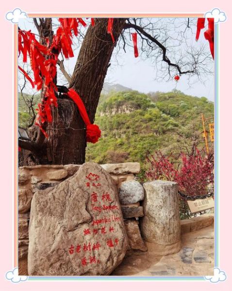 云县的非物质文化遗产（云县非遗有哪些值得新手打卡？）-第3张图片-八三百科