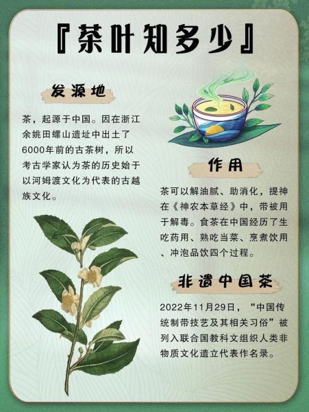 茶与非物质文化遗产含义(茶与非遗是什么意思?)-第2张图片-八三百科 茶与非物质文化遗产含义(茶与非遗是什么意思?)-第2张图片-八三百科