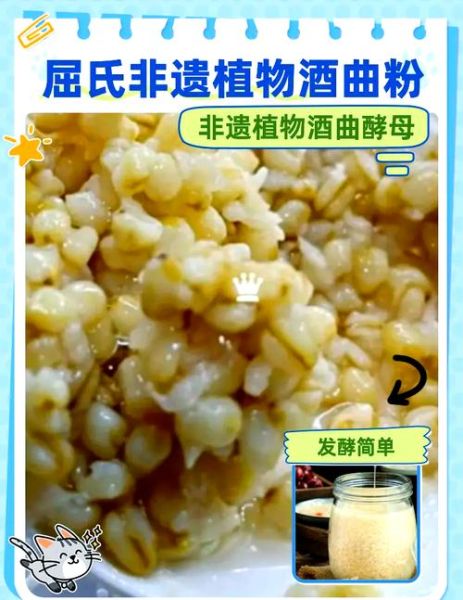 屈氏酒曲非物质文化遗产(屈氏酒曲申请非遗流程多久能过)-第1张图片-八三百科 屈氏酒曲非物质文化遗产(屈氏酒曲申请非遗流程多久能过)-第1张图片-八三百科