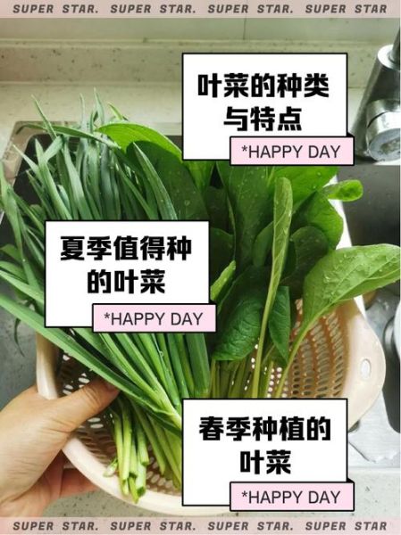 非物质文化遗产菜叶（菜叶非遗传承是什么）-第2张图片-八三百科