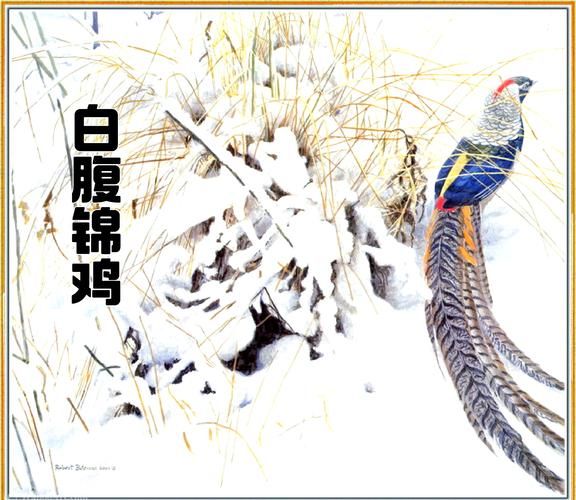 非物质文化遗产锦鸡(非物质文化遗产锦鸡是苗绣吗?)-第2张图片-八三百科 非物质文化遗产锦鸡(非物质文化遗产锦鸡是苗绣吗?)-第2张图片-八三百科