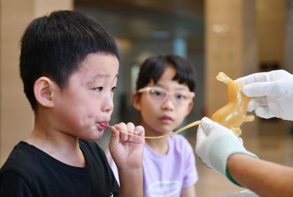 吹枪非物质文化遗产(吹枪怎么传承下去?小白入门必读)-第2张图片-八三百科 吹枪非物质文化遗产(吹枪怎么传承下去?小白入门必读)-第2张图片-八三百科