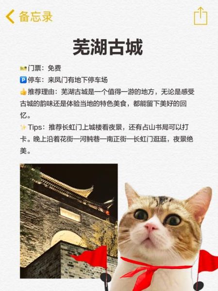 芜湖市非物质文化遗产网(芜湖非遗网站有哪些?这5个入口你一定要收藏)-第3张图片-八三百科 芜湖市非物质文化遗产网(芜湖非遗网站有哪些?这5个入口你一定要收藏)-第3张图片-八三百科