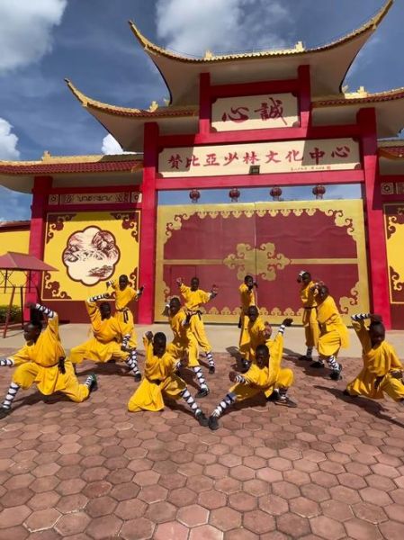 非物质文化遗产 和尚(非物质文化遗产中的少林寺武术和尚怎么来的)-第1张图片-八三百科 非物质文化遗产 和尚(非物质文化遗产中的少林寺武术和尚怎么来的)-第1张图片-八三百科