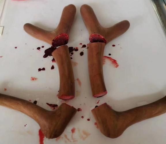 鹿茸非物质文化遗产（鹿茸非遗技艺核心工序）-第3张图片-八三百科