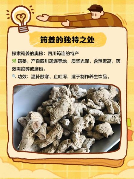 河南姜非物质文化遗产(河南姜传统制作技艺是不是非遗?)-第1张图片-八三百科 河南姜非物质文化遗产(河南姜传统制作技艺是不是非遗?)-第1张图片-八三百科