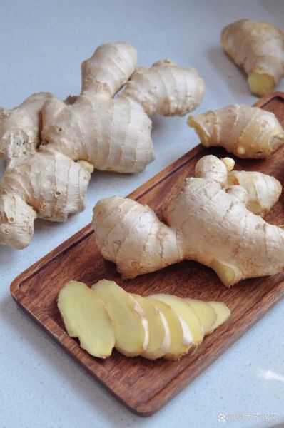 河南姜非物质文化遗产(河南姜传统制作技艺是不是非遗?)-第2张图片-八三百科 河南姜非物质文化遗产(河南姜传统制作技艺是不是非遗?)-第2张图片-八三百科