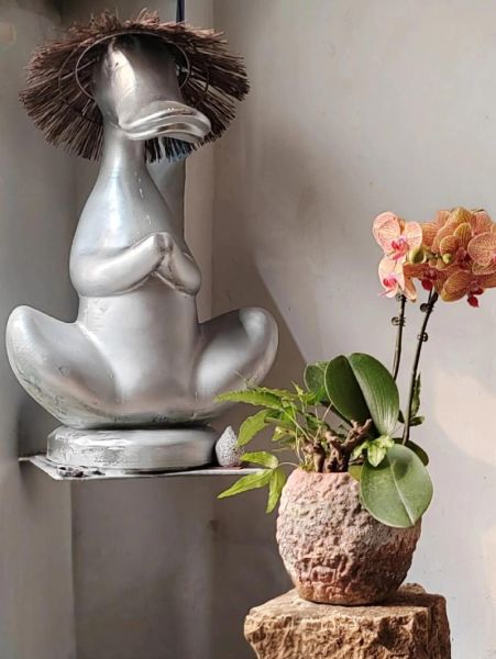 乡村非物质文化遗产面积（乡村非遗分布面积怎么查）-第1张图片-八三百科