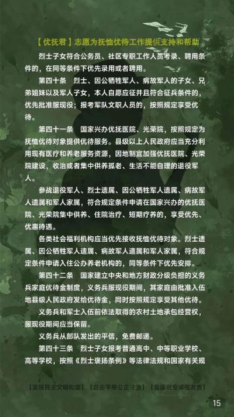非物质文化遗产军人（非物质文化遗产军人有哪些优待政策）-第3张图片-八三百科