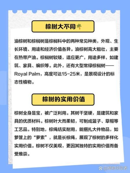非物质文化遗产棕树(棕编非物质文化遗产的简单入门指南)-第3张图片-八三百科 非物质文化遗产棕树(棕编非物质文化遗产的简单入门指南)-第3张图片-八三百科