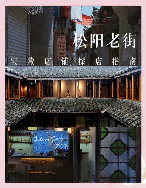 松阳非物质文化遗产住宅（松阳非遗民宿改造入门指南）-第3张图片-八三百科