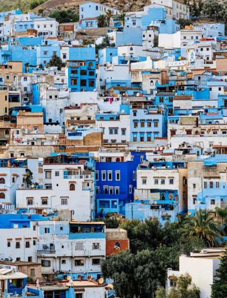 摩纳哥非物质文化遗产（摩纳哥有哪些非遗名录）-第2张图片-八三百科