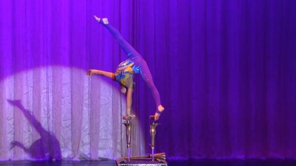 非遗物质文化遗产柔术(柔术是国家级非遗吗)-第2张图片-八三百科 非遗物质文化遗产柔术(柔术是国家级非遗吗)-第2张图片-八三百科