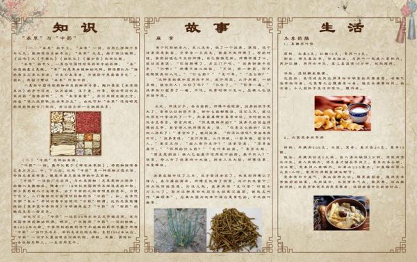 中医文化非物质文化遗产（中医文化非遗项目有哪些）-第3张图片-八三百科